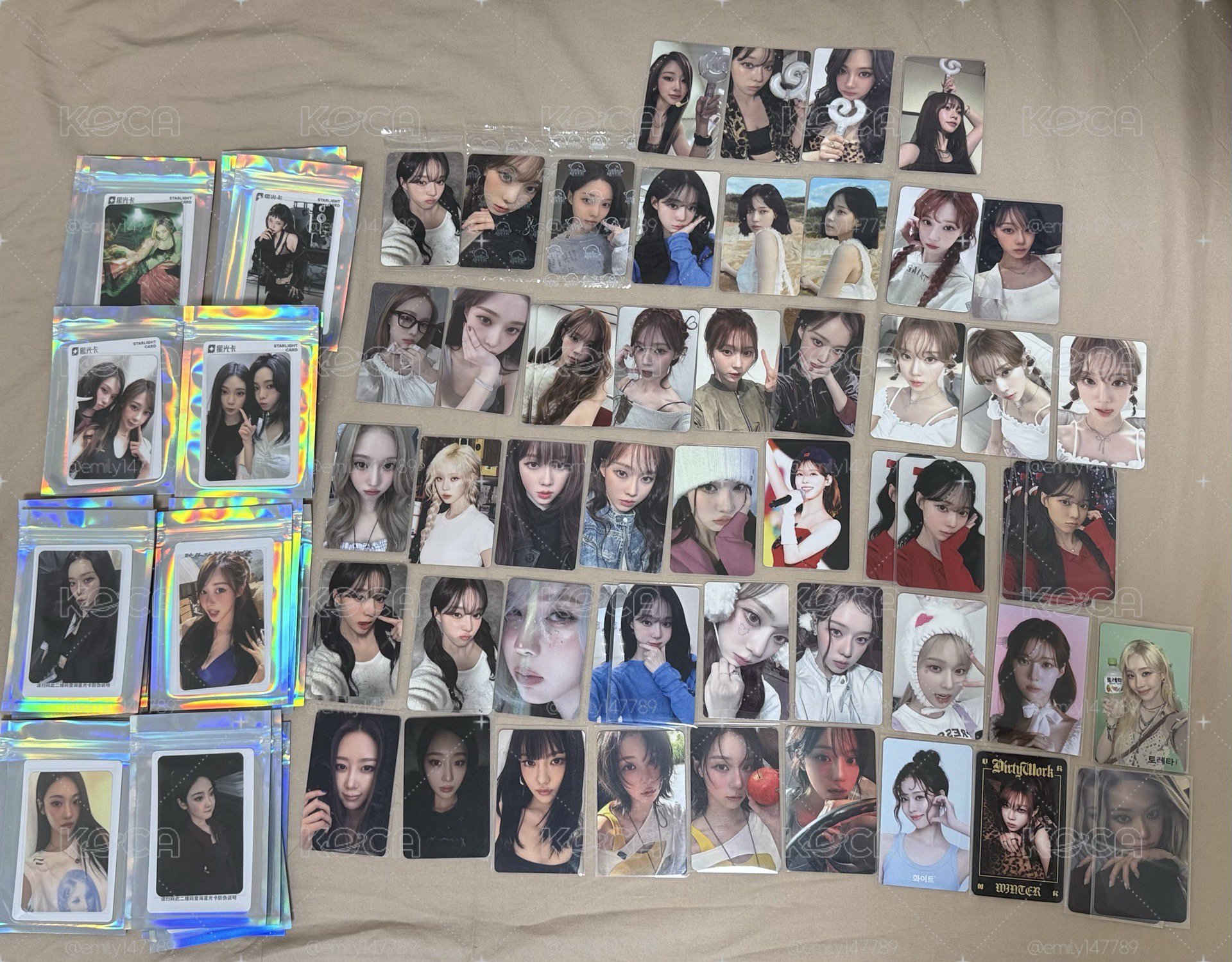 冬大盤