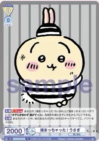 WSB對戰卡 vol.1 R 隨機卡 