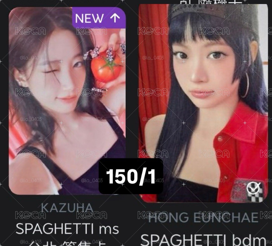 櫻花證件套+一葉中背