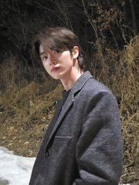 小鹿亂撞