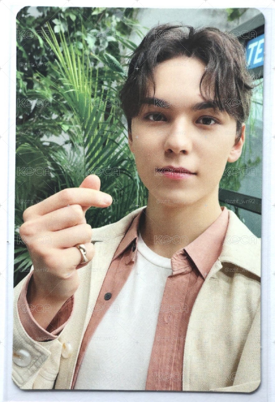 🤍SVT 消費期限 專卡 通常盤 率