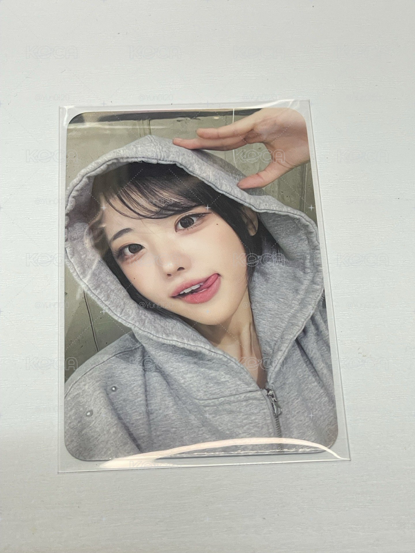 迷三 dmm 線下 1.0 簽售卡 小狗影子