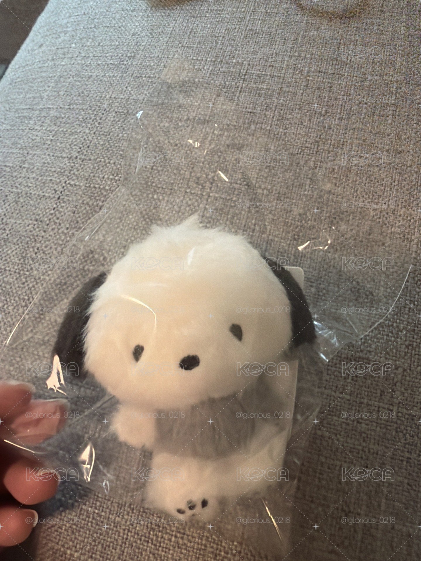 韓版灰色吊娃   吊娃 帕恰狗
