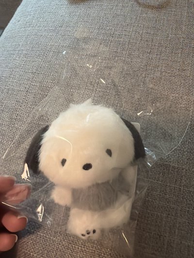 韓國購入 灰色帕恰狗