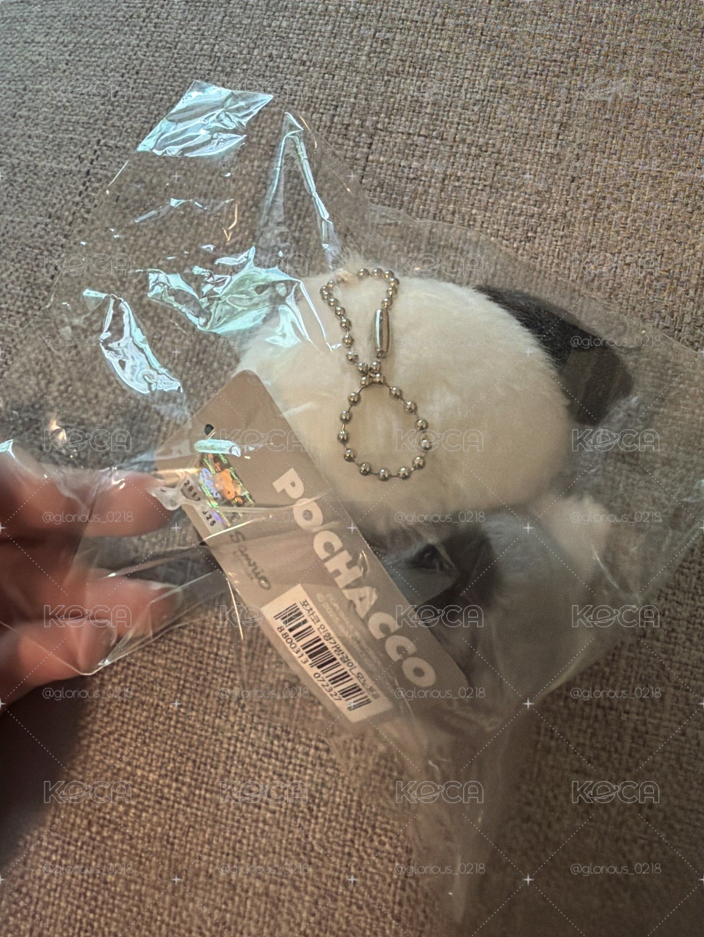 韓國購入 灰色帕恰狗