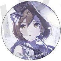 細閃 vol.36 A 徽章 交響樂花後