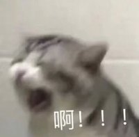 回血(  ⌯₄⌯) 