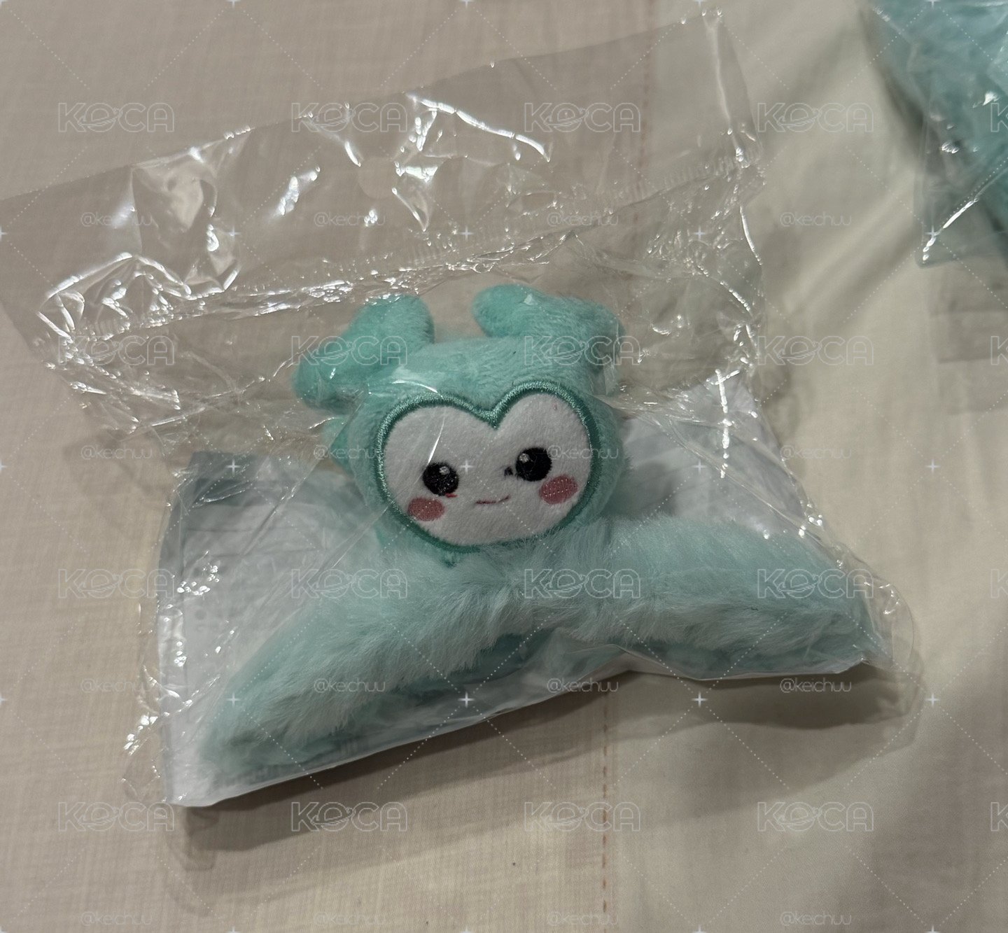 新國立 南鯊魚夾