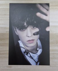 Vernon1