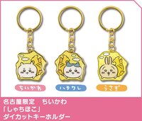 名古屋限定金鯱