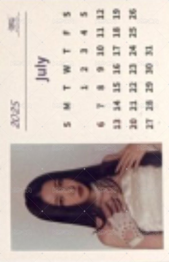 十週年 sw 明信片  背面