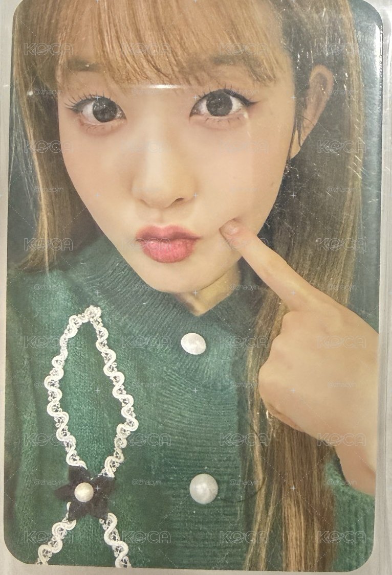 Teddy Bear 蒔恩