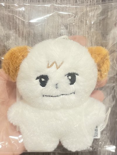 SJ 圭賢 娃娃玩偶 CHOKYUMAE 曹圭美 Super junior