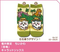 福井限定 恐龍