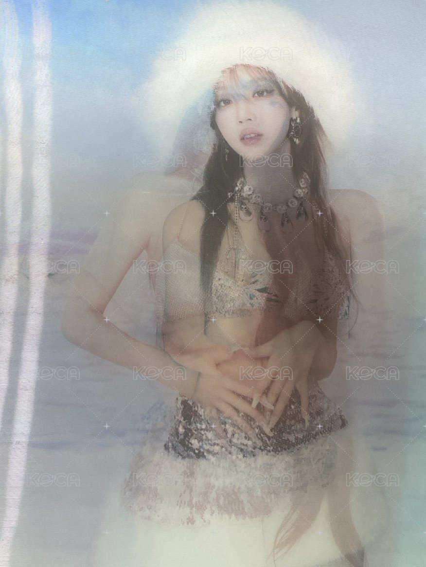正規二雪帽