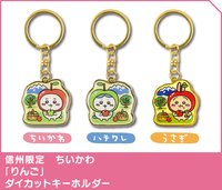 信州限定蘋果
