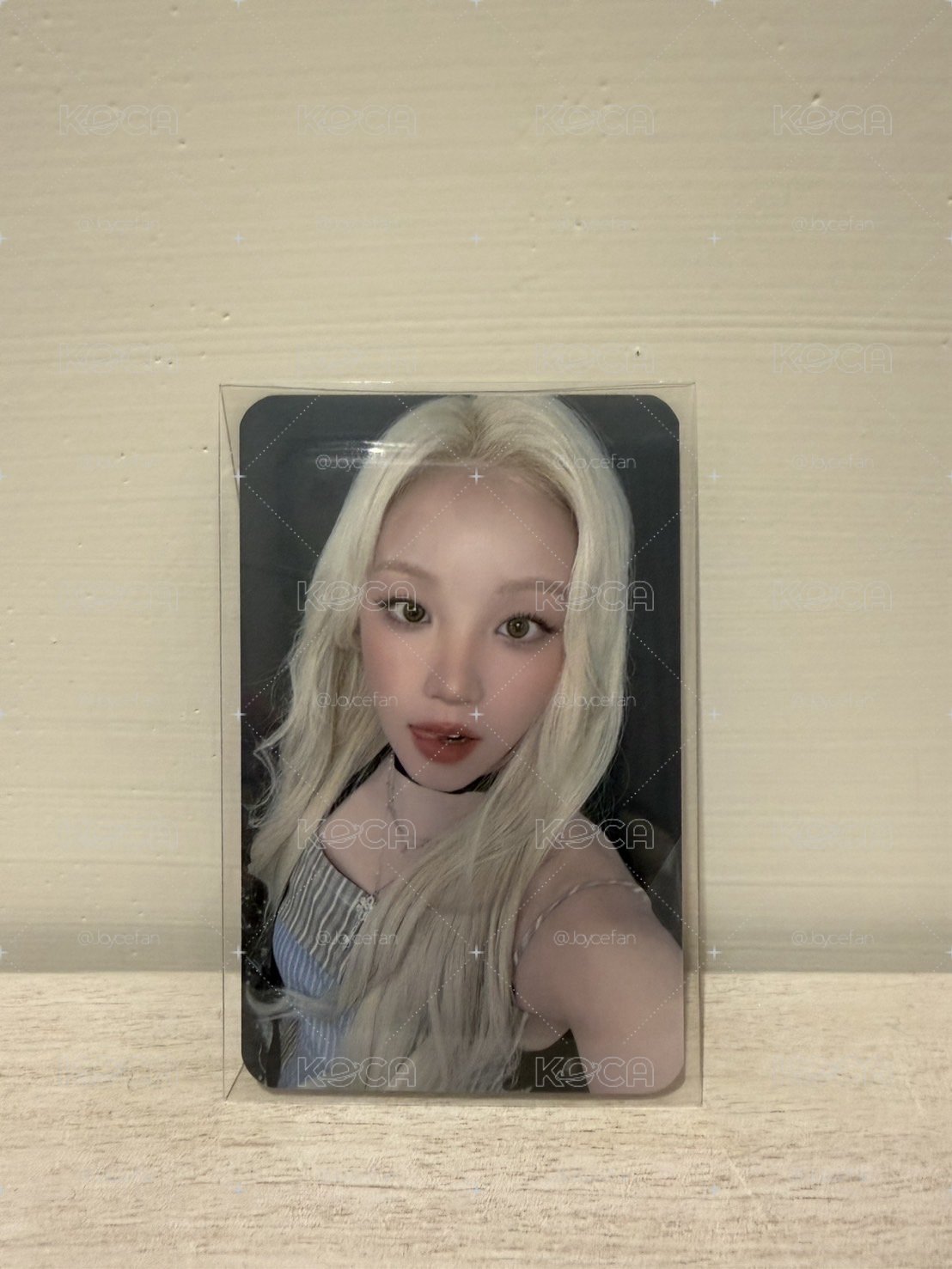 展覽入場琦 中背