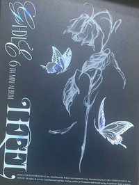 奶油蒼蠅版
