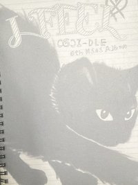 貓版