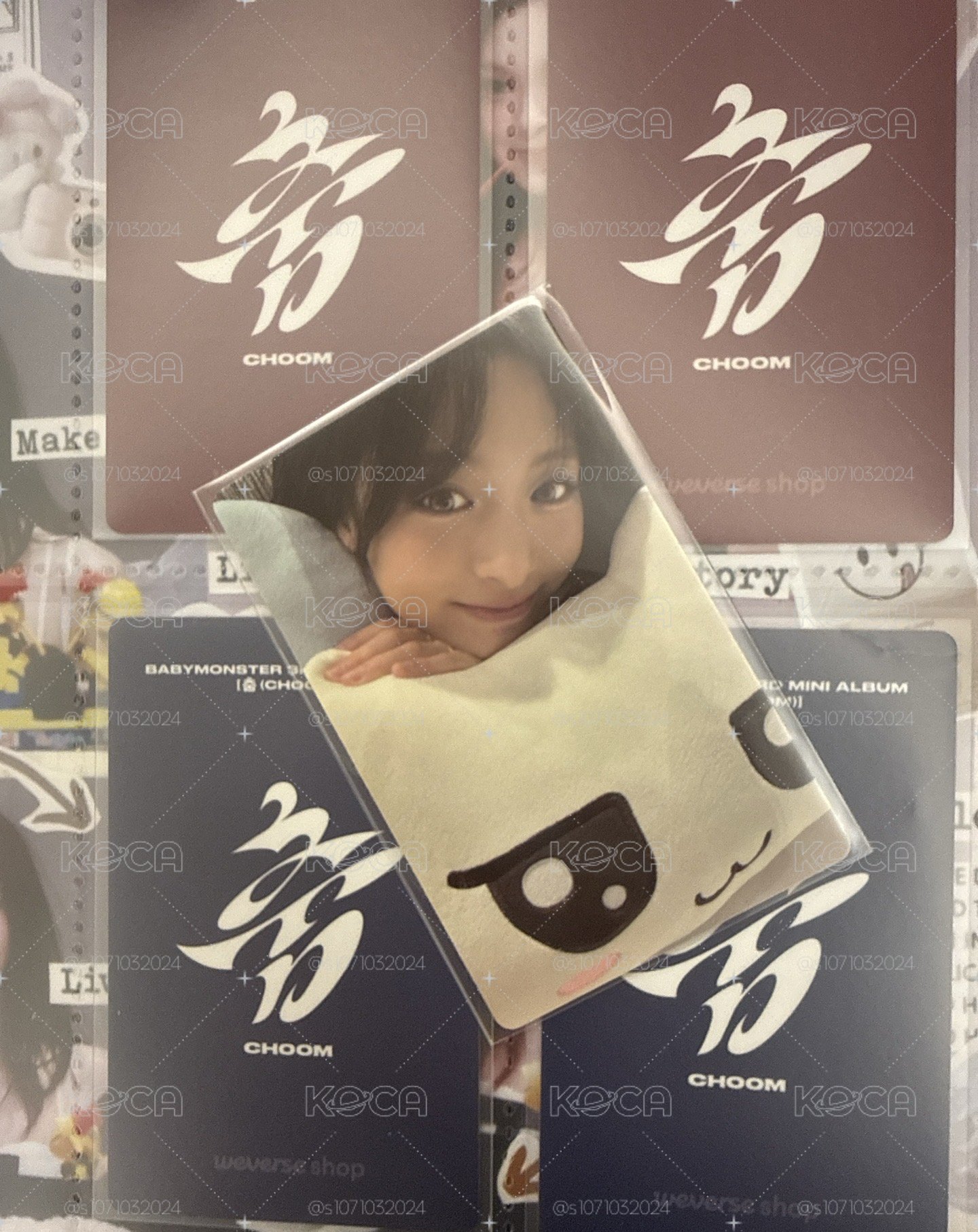 wvs早鳥賢