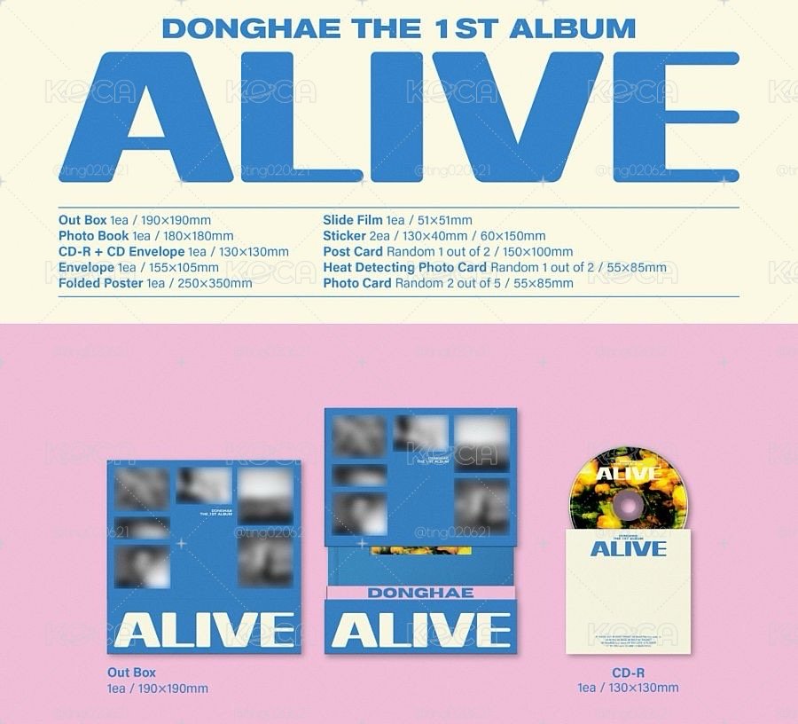 空專 東海 Solo ALIVE PB ver. 專輯 