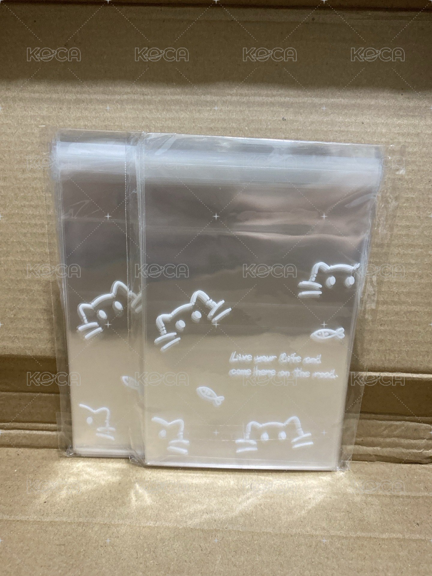小貓世一萌