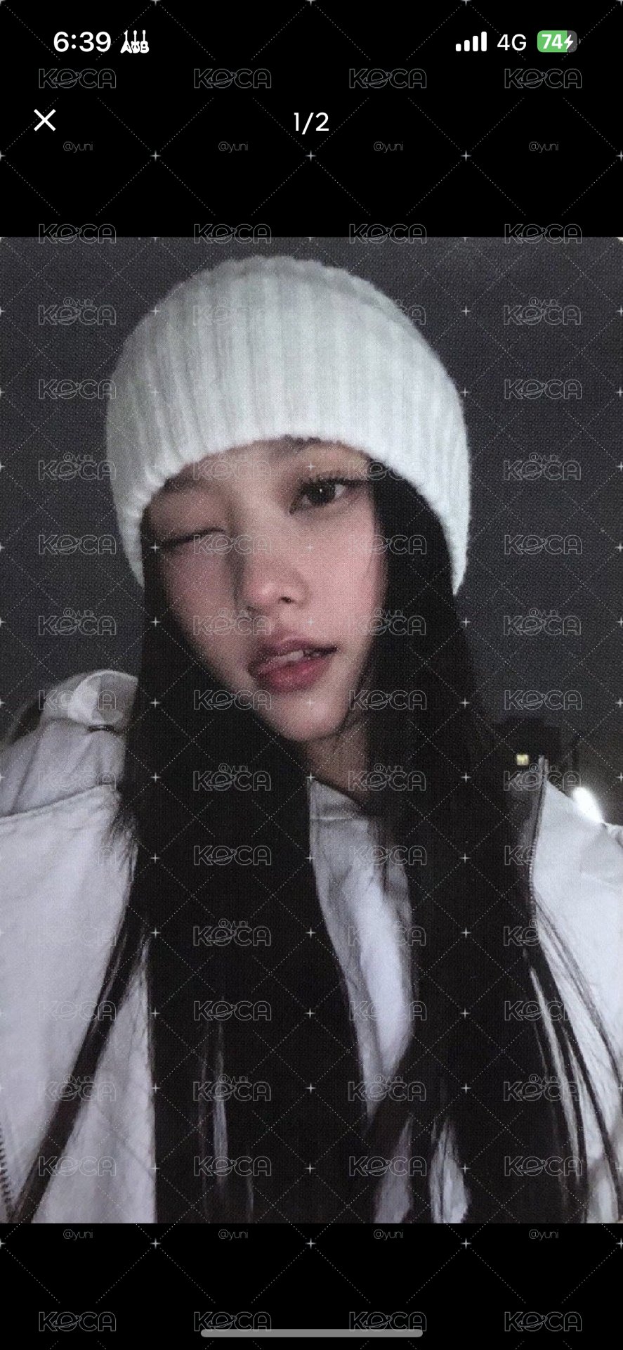 P席貓
