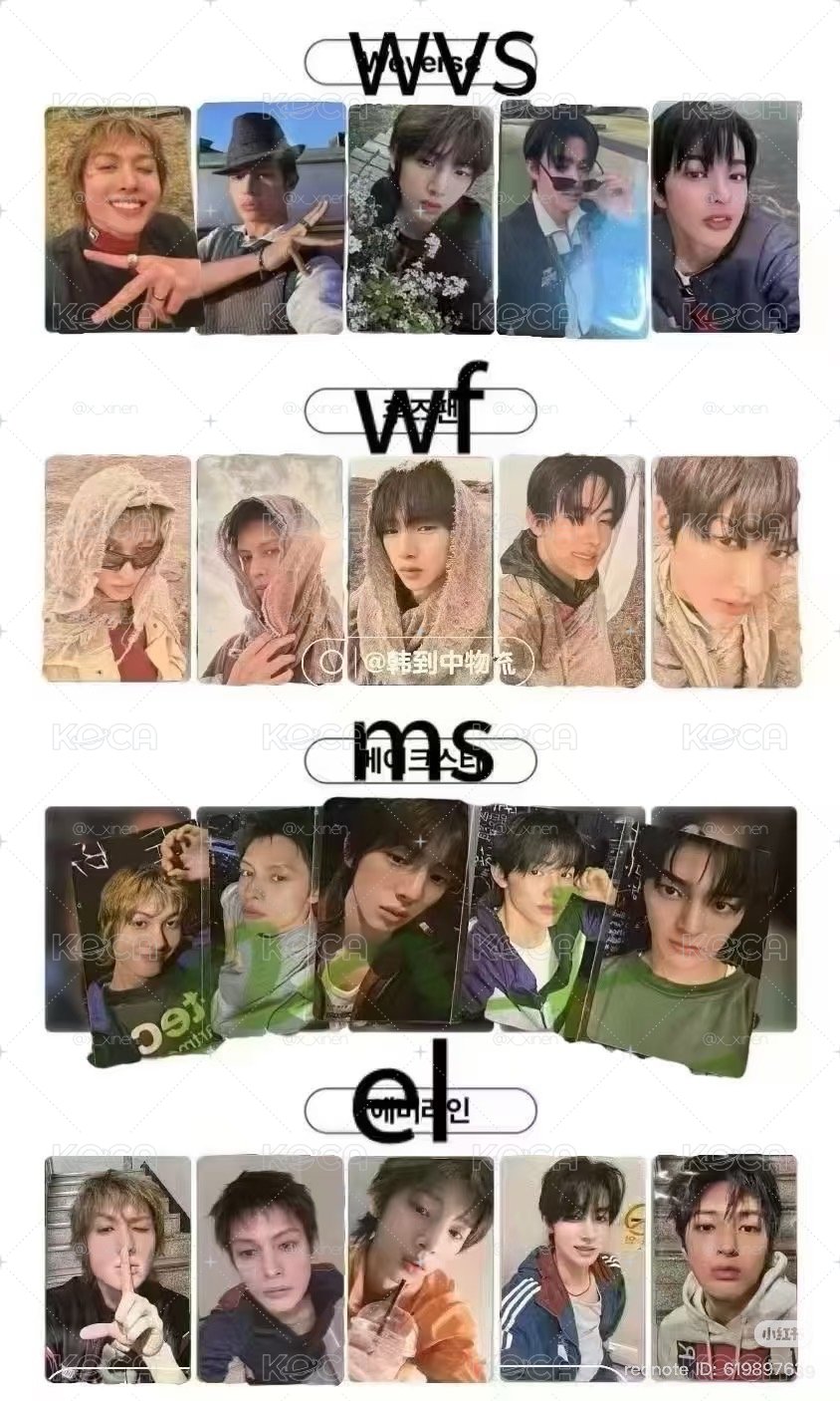 wvs+wf 馬