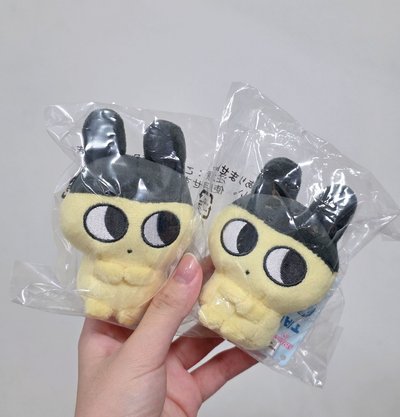 日本塔麻可吉 偷偷看的麻美吉