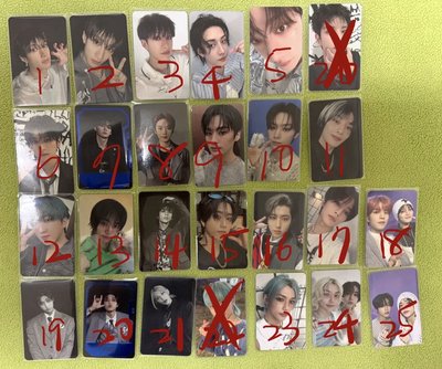 [回血]SKZ 專卡 燦/糯/彬/辰/韓/菲/玟/寅