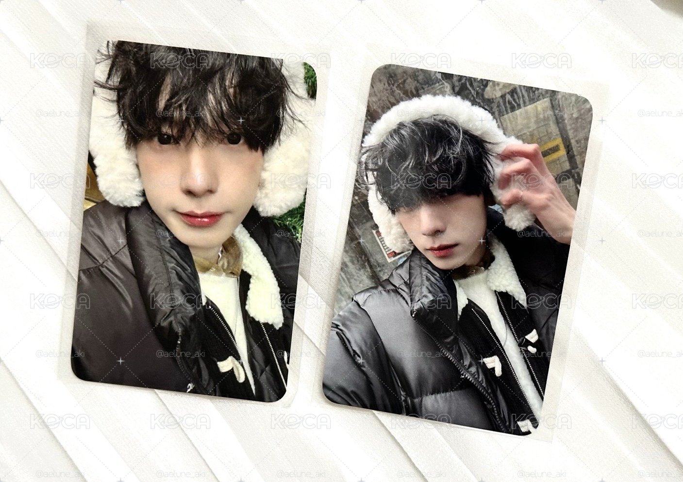 冬日❄️攝影🐰📹