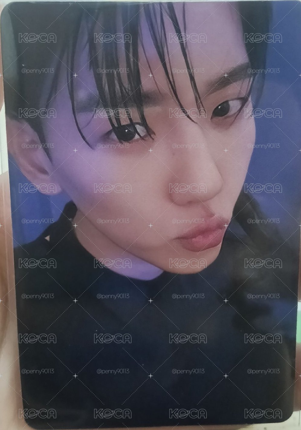 bolo4 專輯卡 Hello VER.
