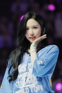 名井南的狗狗
