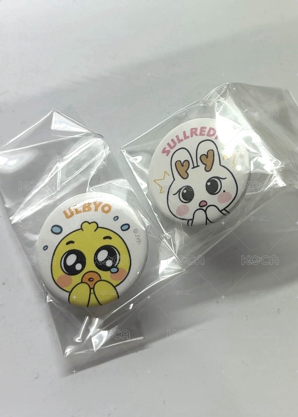 飯咪裴薛徽章