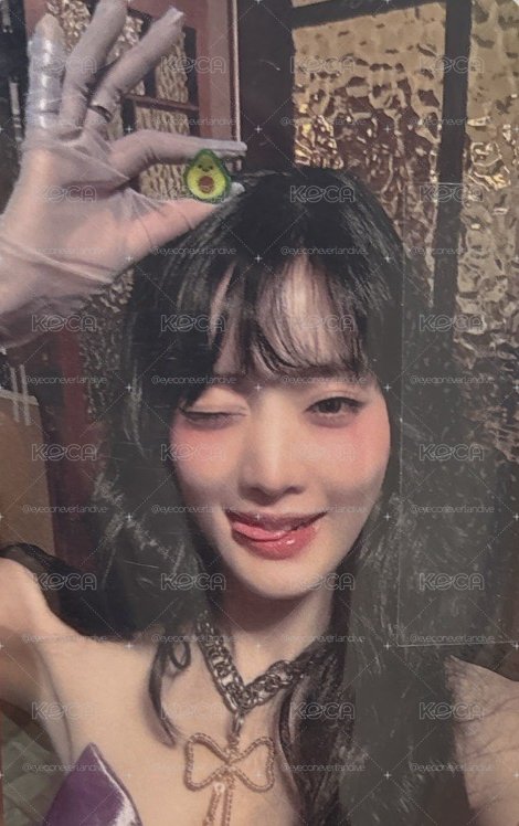 酪梨妮