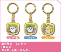 地區限定 足利限定 紫藤花