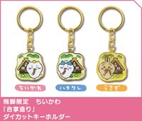 飛驒限定 合掌村
