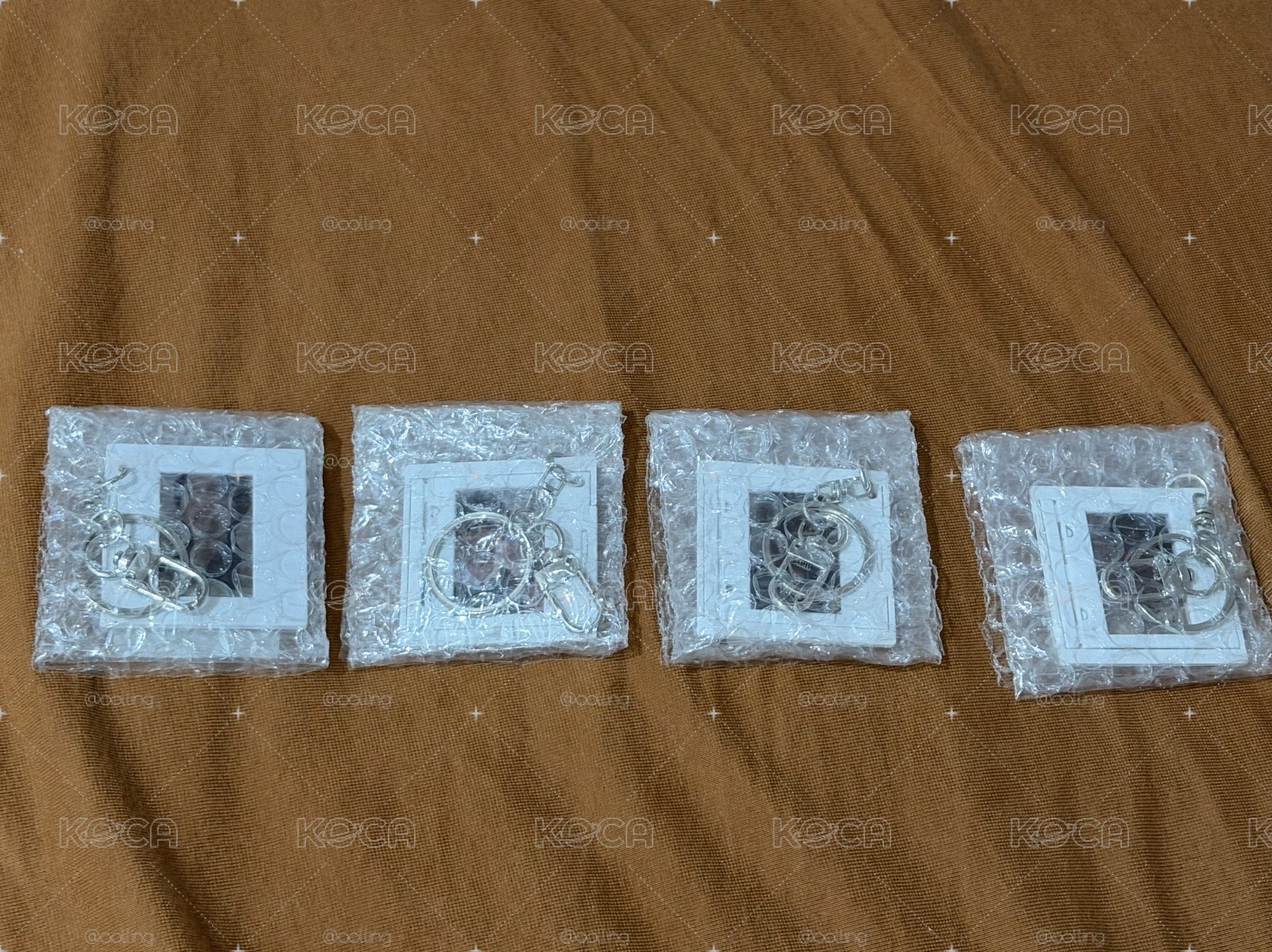 WVS 特典 碩珍 整組賣