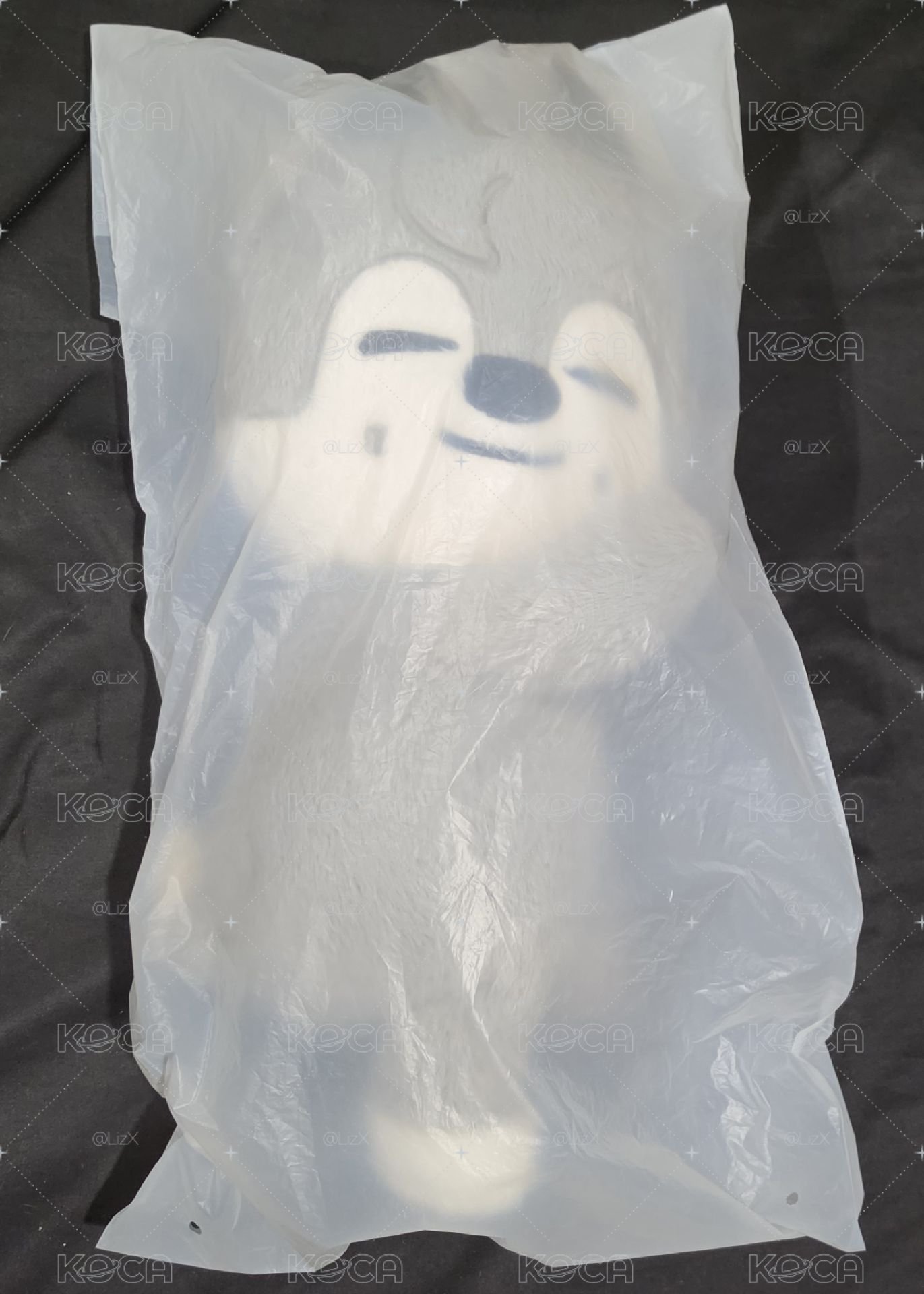 燦側背娃(需帶2000✅️標記商品)