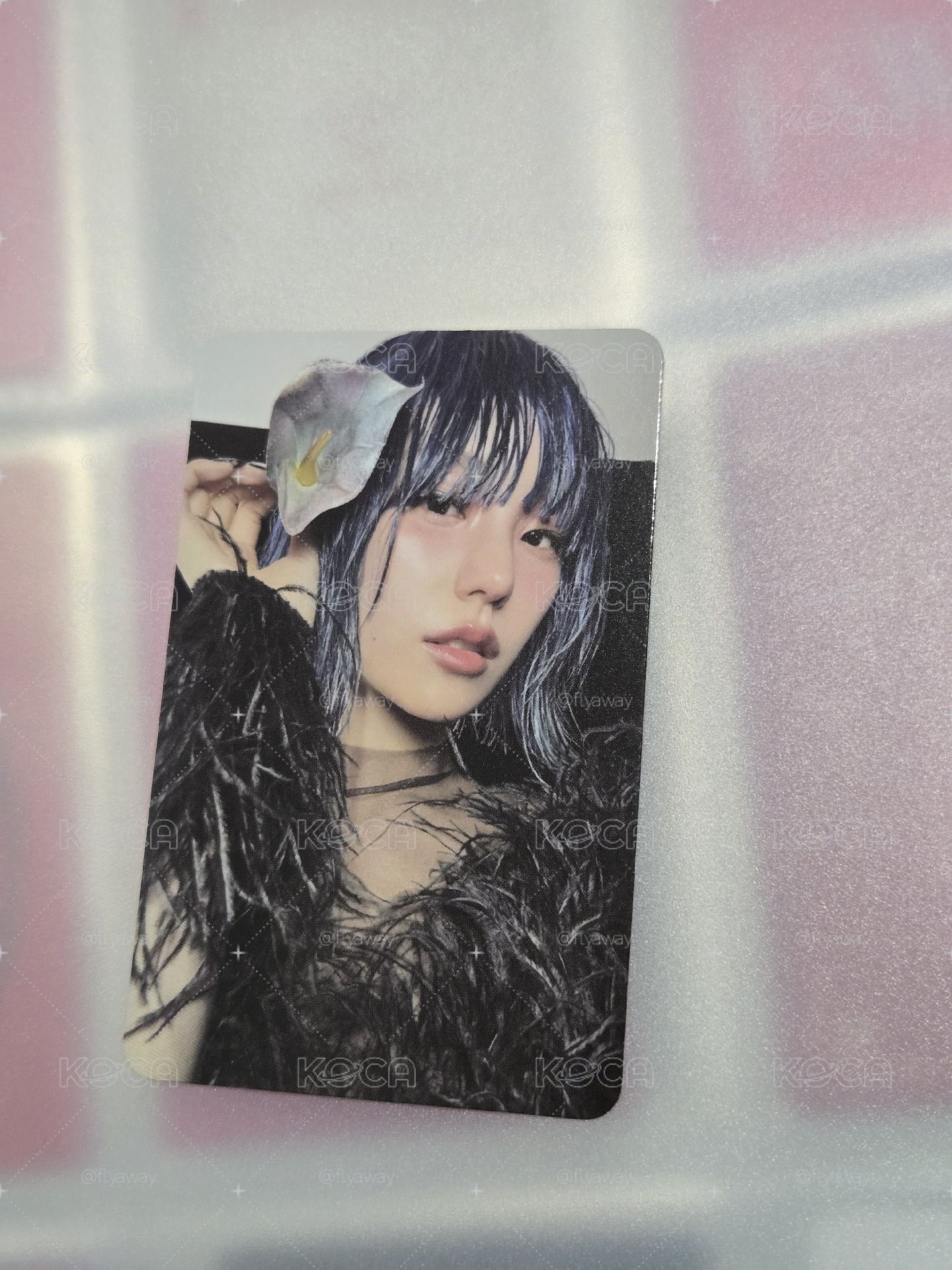ITZY 小卡 禮志