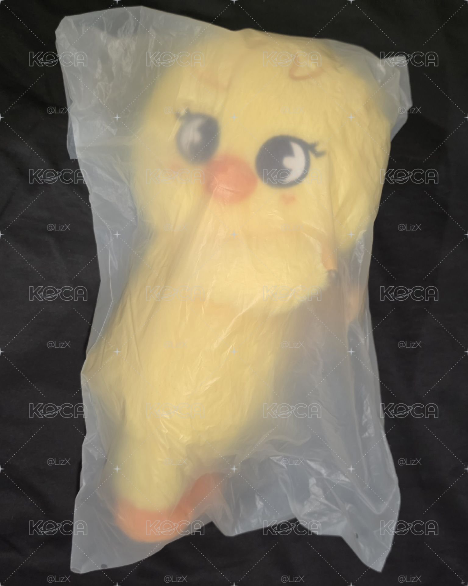 菲側背娃(需帶2000✅️標記商品)