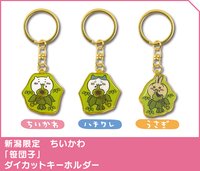 新潟限定 竹葉團子