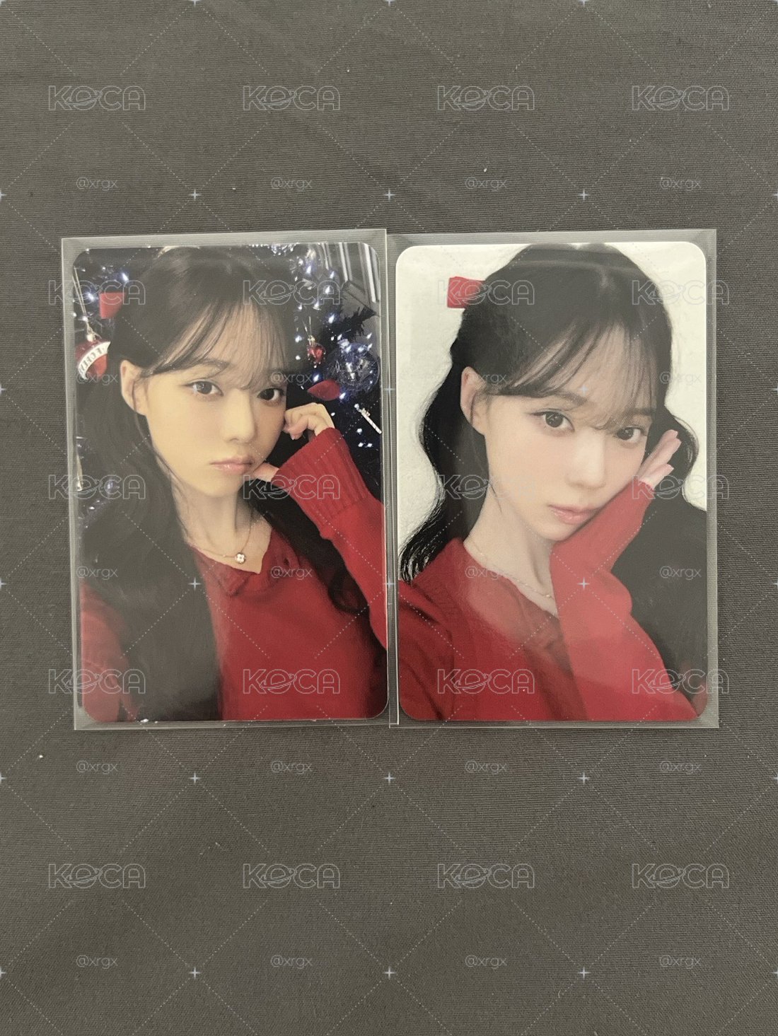 聖誕紅衣冬*2