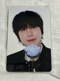 圭
