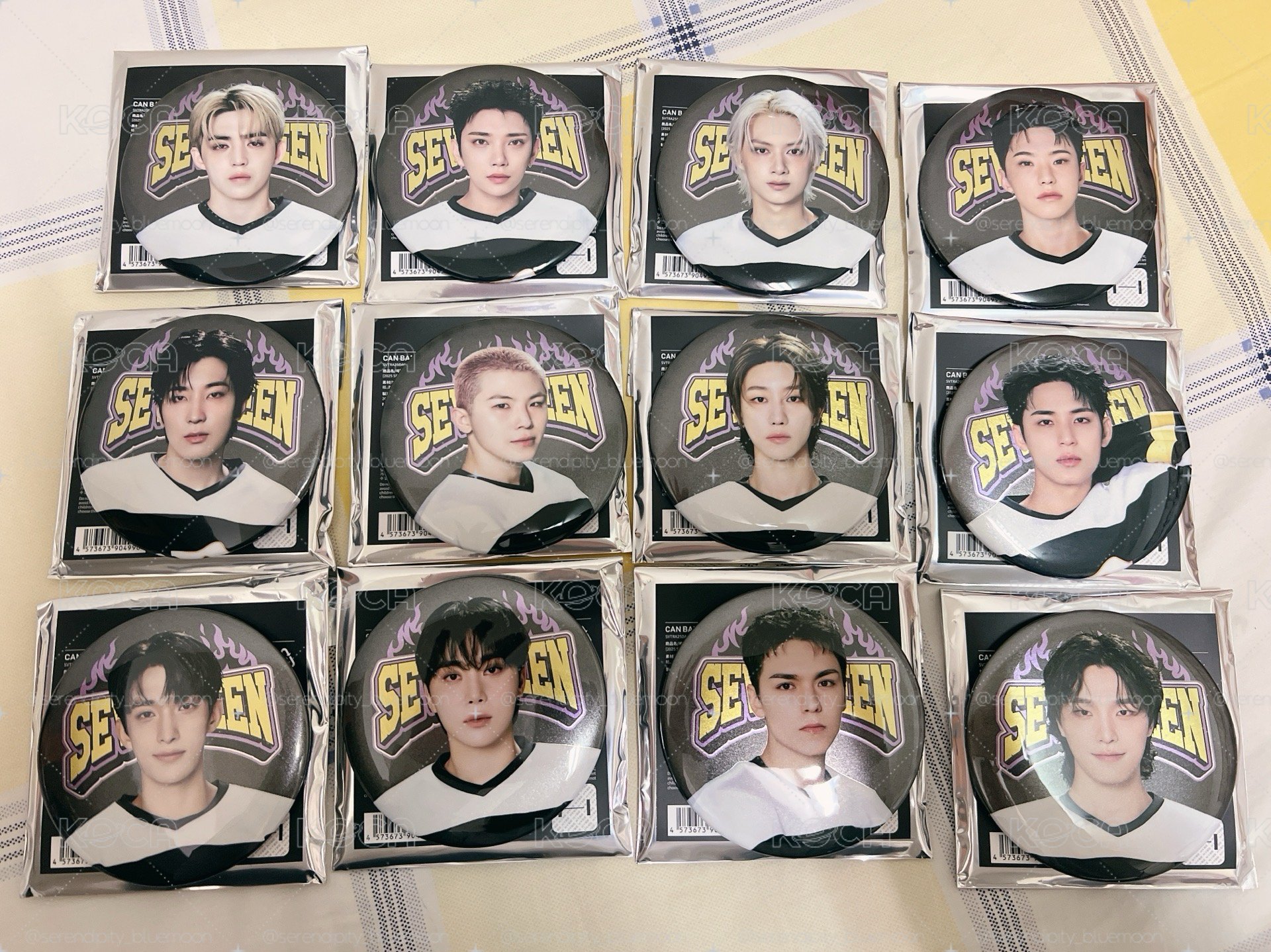 SEVENTEEN HOME 2025 徽章