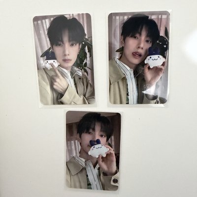 崔小盤