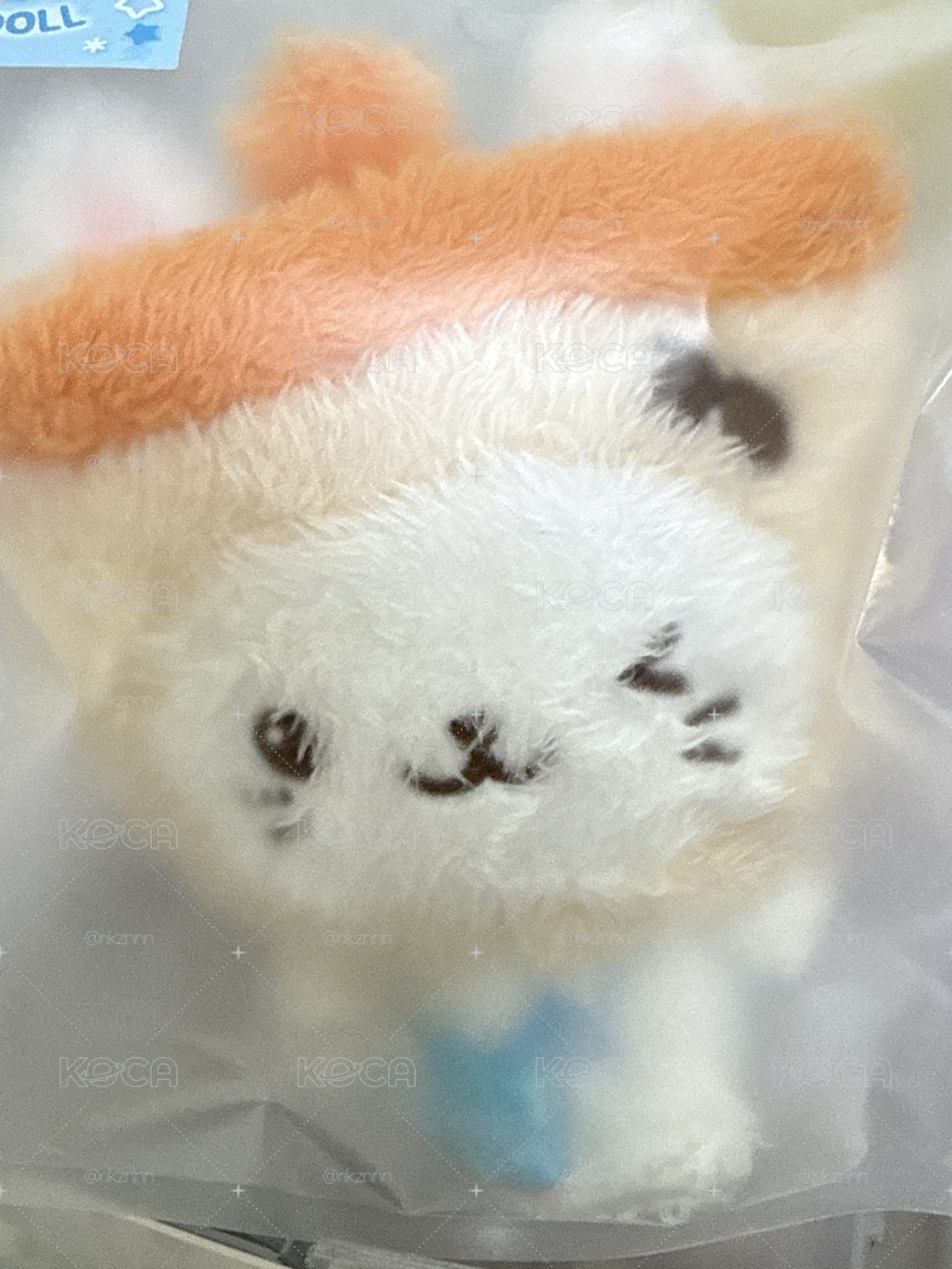原皮奶茶貓