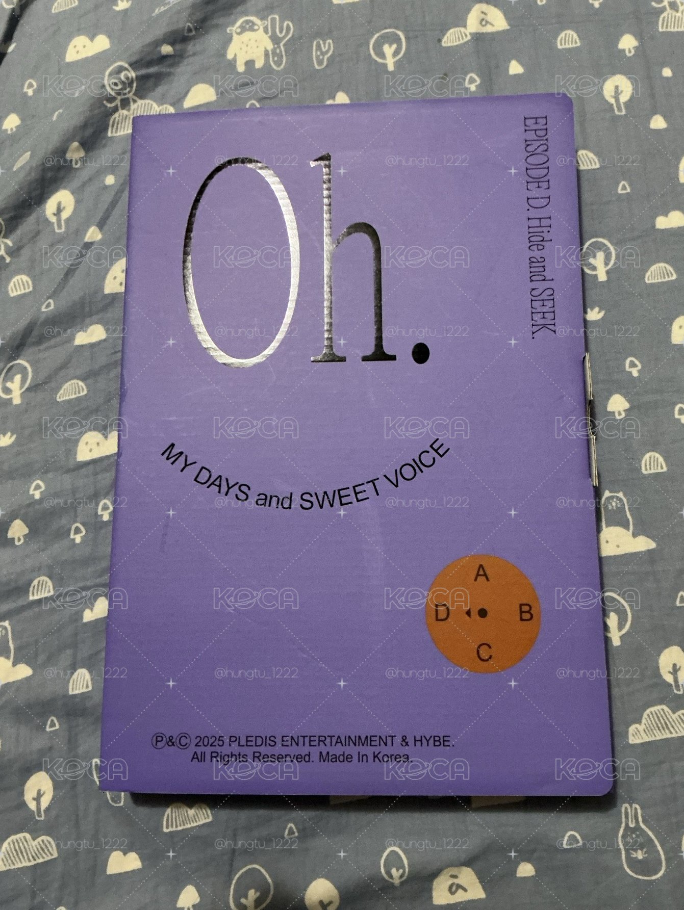 D版寫真