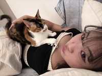 泡泡