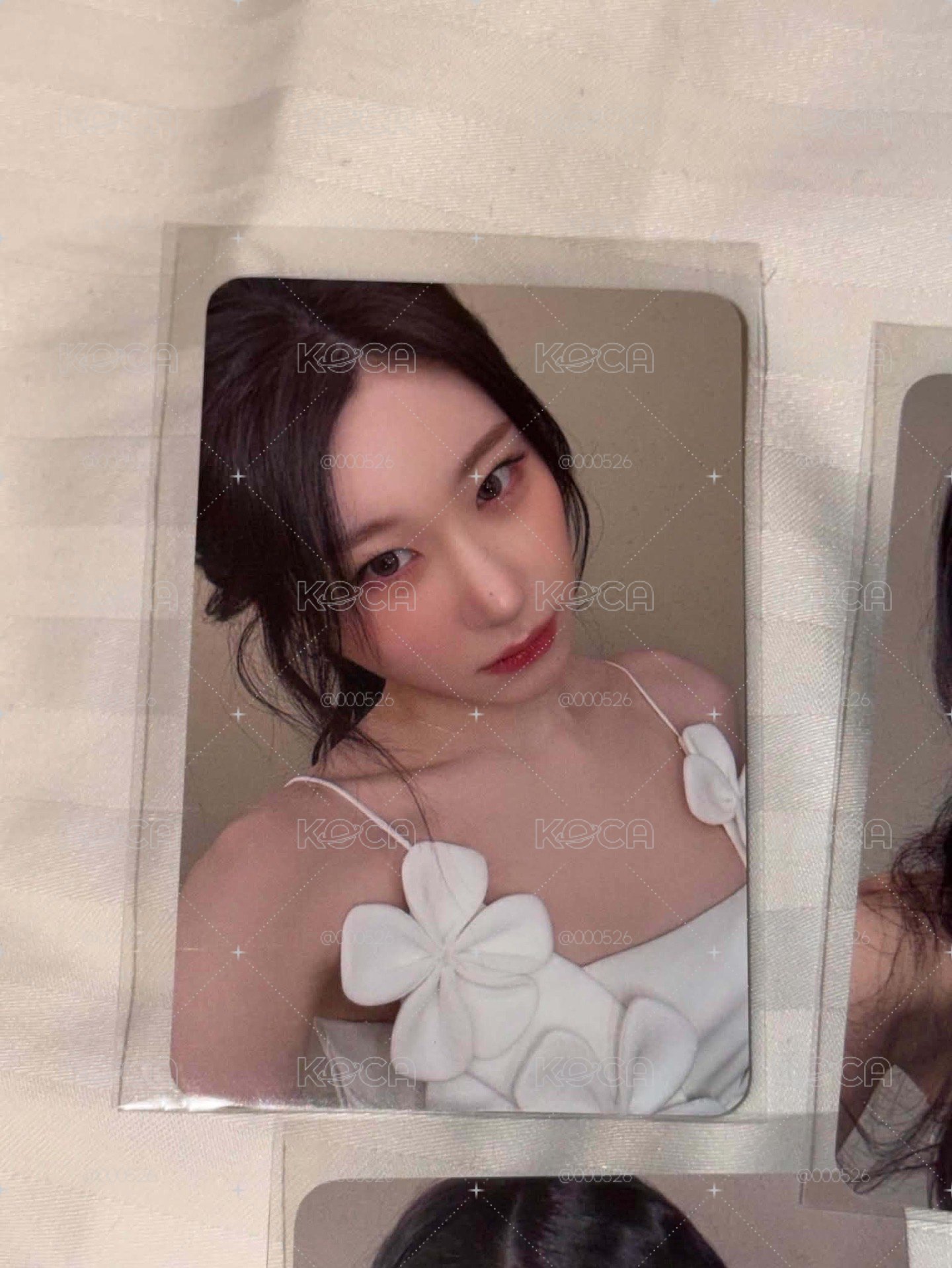 itzy motto ms預售領